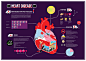 Heart Disease (An Infographic On Geriatrics) : An info graphic created to bring light onto the disease to educate the public about the serverity of Heart Disease.