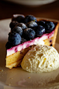 Blueberry Tart by Blue HazeG