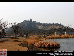 jiezihui采集到游上海辰山植物园【华