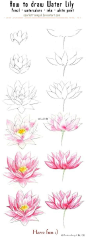 一组花花绘制来袭，玫瑰花牡丹花以及一些常见花卉，收着练起来吧~#绘画学习#