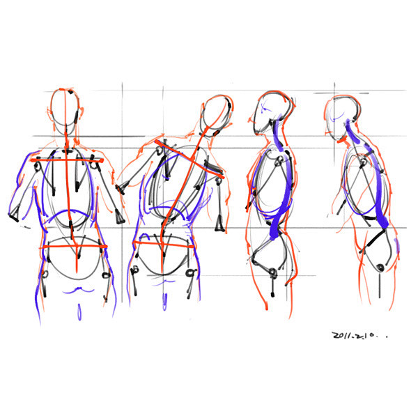 素材合集绘画专用人体解剖系列 296P ...