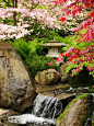 Japanese Garden with a wonderful balance of colors and textures, natural and manmade, stone and living things.: 