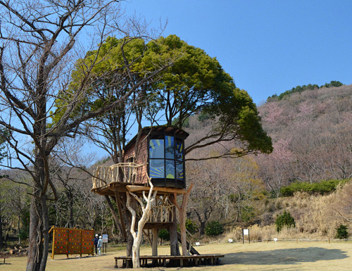 日本建筑师小林崇的树屋（1）——higa...