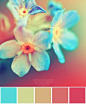 color palette