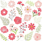 粉色,延龄草,生日,可爱的,自然,华丽的,图像,花朵,植物群,爱