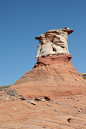 landscape, sand, rock, mountain, wood, desert