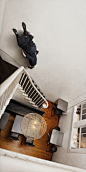 Jeremy Geddes