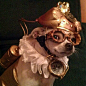 Steampunkdog