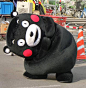 #熊本熊# #kumamon#