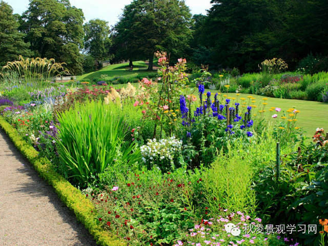 景观花镜实景，植物设计参考借鉴【第二辑】