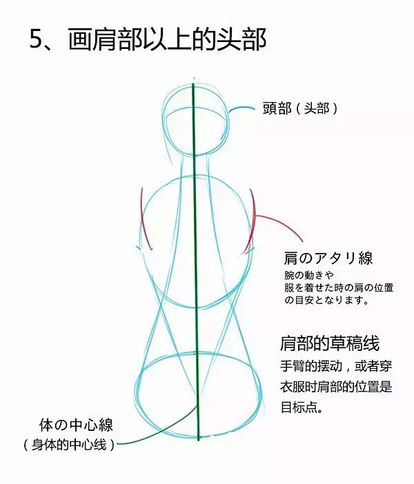 【绘画教程】男女背部的差异画法（人体练习...