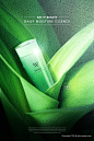 美妆海报模板护肤品化妆品高清植物绿叶子背景图PSD