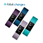 Fitbit Charge 2 腕带配饰-tmall.com天猫