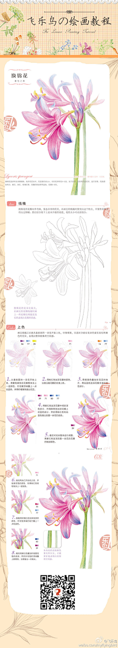 x虾i虾a采集到花