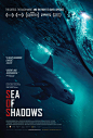 Sea of Shadows海报 2 Poster