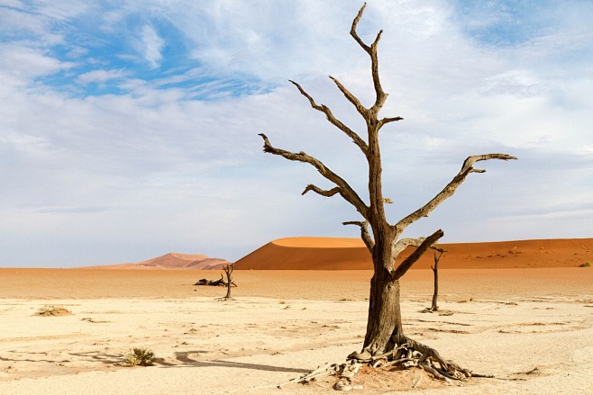 Photograph Dead Vlei...