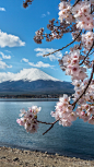 富士山#日本#亞洲