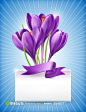 紫色兰花和水珠丝带分享即免费素材下载并参与传素材送现金活动