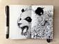 MOLESKINE DOODLES: Black and White Cat-Foot by kerbyrosanes on deviantART