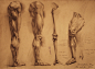 human anatomy 24 by IvanLaliashvili