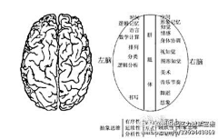 Lingue_Chow采集到实用