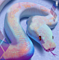 Leucistic Ball Python, Lauren W : Here's my take on the ball python. I believe this was based roughly on a leucistic morph based on my references and I sorta just had a lot of fun with it. My scale usage has really improved lately after doing these and I 