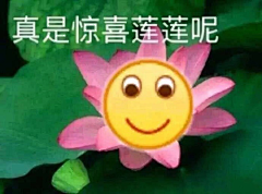 为你早退万年采集到搞怪