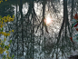 济南   大明湖




簇拥着奇石的树叶间那一束温暖的阳光





不容忽视的影





唯美的视觉享受





完美搭配





空水共氤氲





绿的集合





虚实结合





惬意





对称美





春的气息





映日桃花





繁星





朝阳？夕阳？