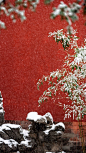 故宫的雪，最美的红与白。 ​​​​