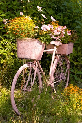 春天的时候骑上单车去郊游吧！