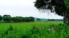 naturesky采集到河北时光 HEBEI TIME