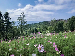 栀子六娘采集到旅游项目案例