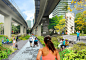 纽约有变废为宝的 High Line Park，迈阿密也想在高架桥下造个城市公园 | 理想生活实验室