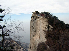 水公采集到华山   H