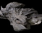 nodosaur-1494818290.jpg (5037×4000)