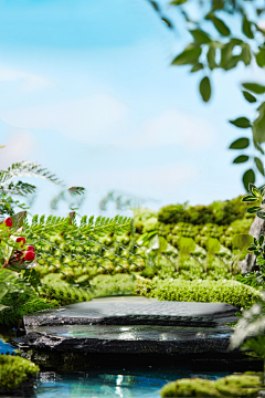 云厘’采集到「植物草地」