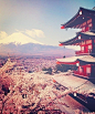 日本京都清水寺·眺富士山