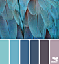 Design Seeds : Design Seeds color palettes ... posted daily for all who love color.