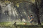 Asian baby  on swing with puppy. by Jakkree Thampitakkul on 500px