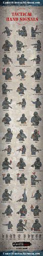 Tactical Hand Signals - preparation for the Zombie appocalypse