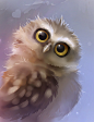 Brown owl cute illustration