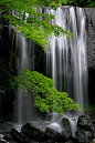 Tatsuzawa-fudoh Falls, Fukushima, Japan. photo by Sky-Genta.