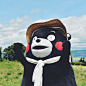 #熊本熊# #kumamon#
