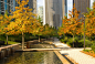 芝加哥东湖岸公园水景鸟瞰_喷泉跌水_城市公园_景观设计_图++_图加加