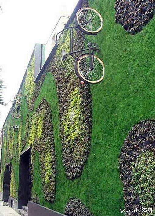 墙面绿化