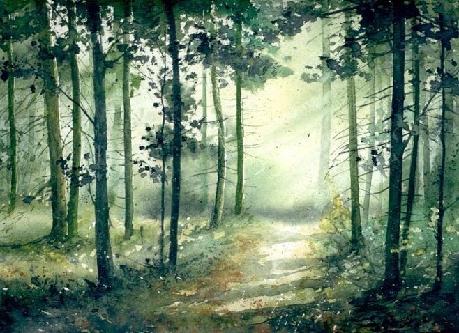【水彩】手绘森林的一角 
