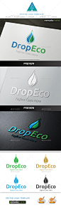 Drop Eco Logo - Nature Logo TemplatesDrop Eco Logo - Nature Logo Templates生物,克丽,饮料,下降,生态,能源,环境,环境、烘托,燃料标志,绿色,健康,健康,身份,叶、医疗、医学、自然、自然、石油、管道、回收、资源、spa、启动,启动时,视觉识别,水,水下降,健康 bio, clea, drink, drop, eco, energy, environment, environmental, foil, fuel logo, gree