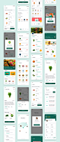 Fooddoor - Food delivery app - UI Kits : Food Delivery service UI Kit consisting of 60+ pixel-perfect design with light theme.