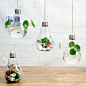 悬挂灯泡欧式创意玻璃花瓶透明水培花瓶玻璃花器现代客厅装饰花瓶-淘宝网