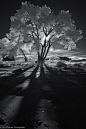 Photograph Infrared Shadows